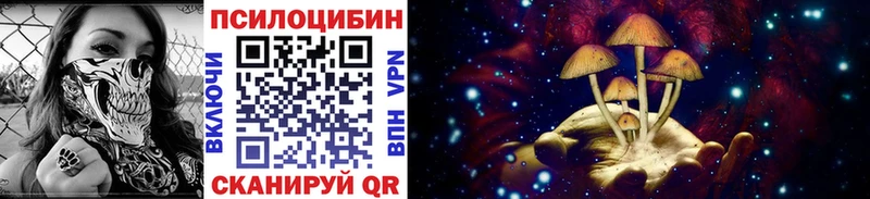Псилоцибиновые грибы мицелий  Купить закладки  Нерехта 